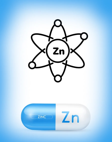 Zinek a jeho kombinace