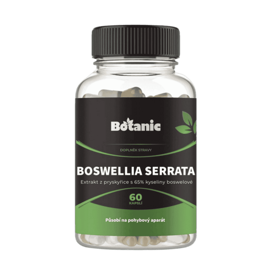 Boswellia serrata extrakt 60 kapslí.