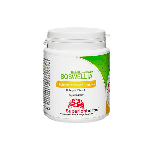 Boswellia Serrata Phytosome 90 kapslí