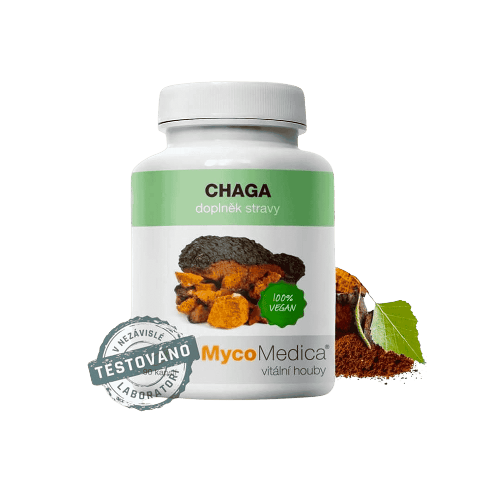 Chaga extrakt 90 kapslí
