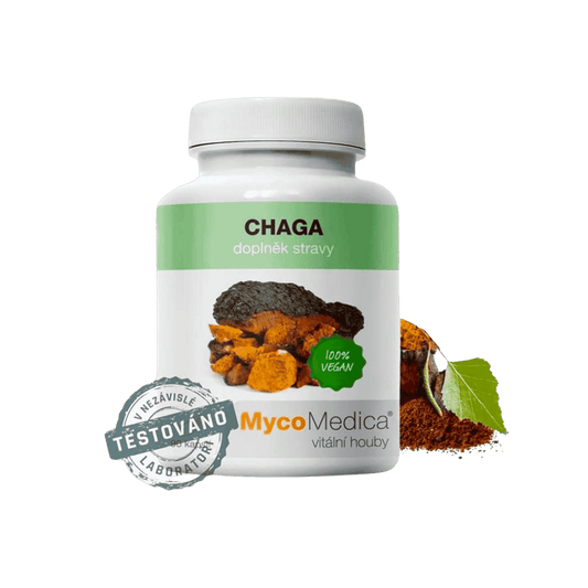 Chaga extrakt 90 kapslí