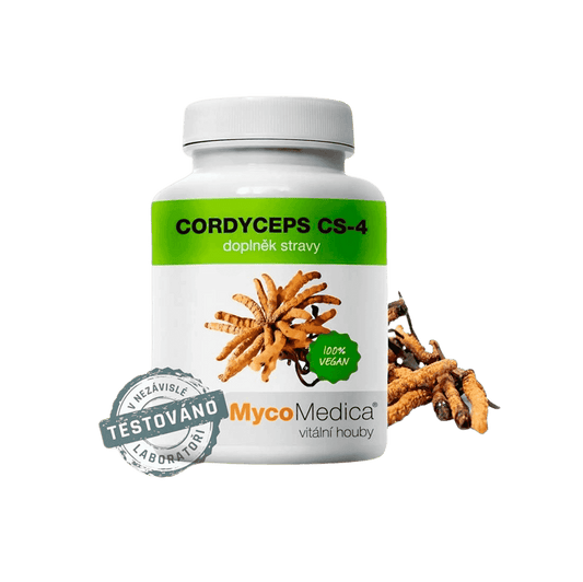 Cordyceps extrakt 90 kapslí