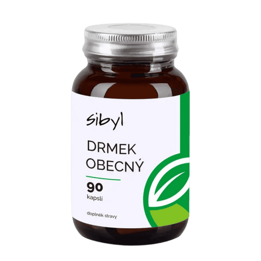 Drmek obecný extrakt 90 kapslí