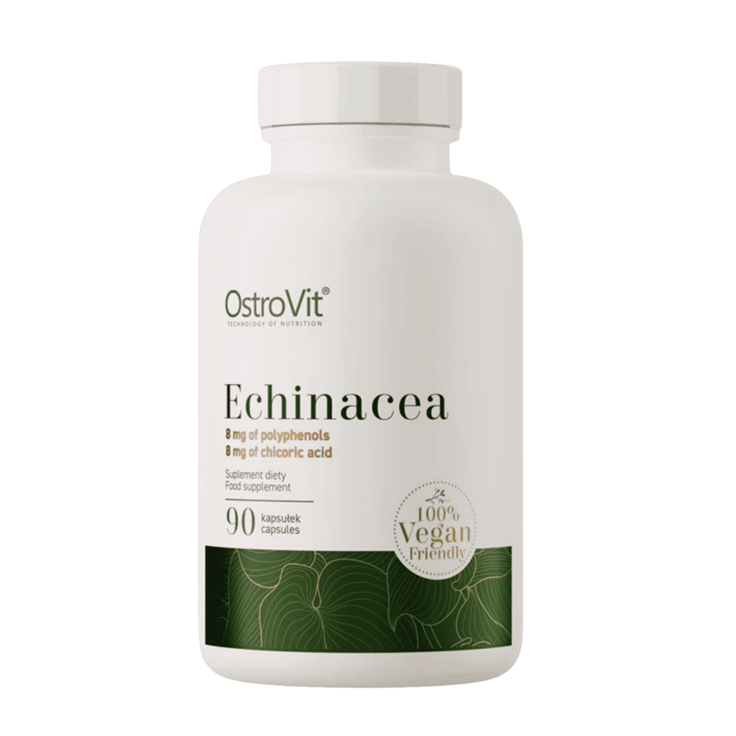 Echinacea extrakt 90 kapslí