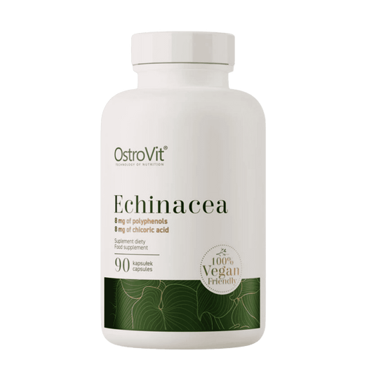 Echinacea extrakt 90 kapslí