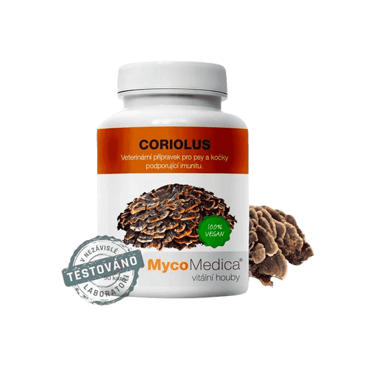 Coriulus extrakt 90 kapslí