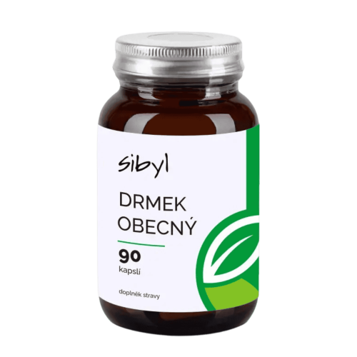 Drmek obecný extrakt 90 kapslí
