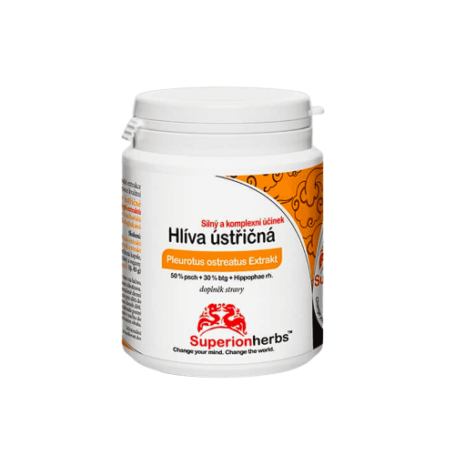 Hlíva ústřičná s rakytníkem 90 kapslí