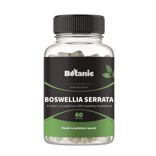 Boswellia serrata extrakt 60 kapslí.