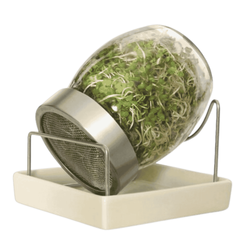 Sklenice na klíčení 700ml