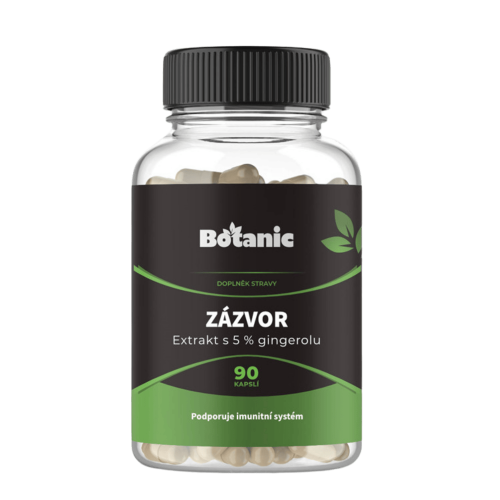 Zázvor extrakt 90 kapslí
