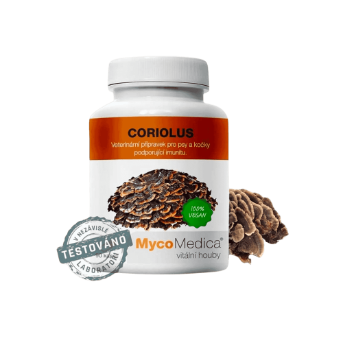 Coriulus extrakt 90 kapslí