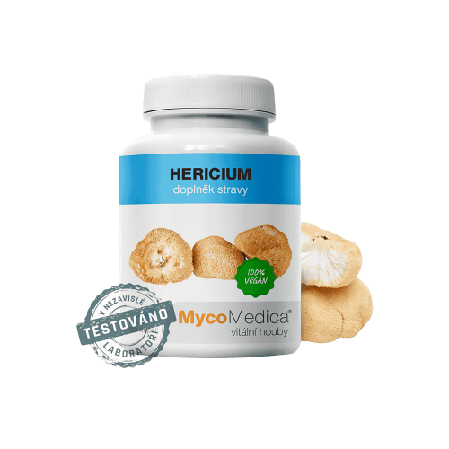 Hericium extrakt 90 kapslí